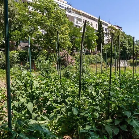 Apartmán Nikula *